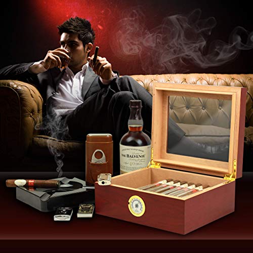 Mantello Cigar Humidors, Royal Glass-Top Cigar Humidor, Cigar Box for 25-50 Cigars, with Hygrometer & Divider, Humidors